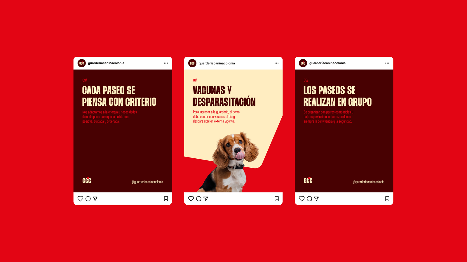 Guardería Canina — Vista general